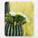 Search for saguaro mouse mats Flower