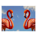 Search for pairs posters Birds