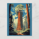 Search for sequoia national park postcards California vacation