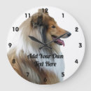 Search for collie clocks Puppy