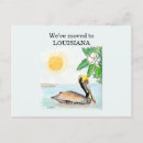 Search for louisiana postcards Watercolor