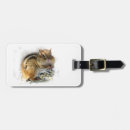 Search for chipmunks travel accessories Nature