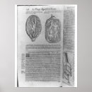 Search for pregnancy posters Childbirth