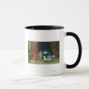 Search for big basin mugs States