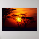 Search for african sunset posters Nature