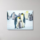Search for emperor penguin posters Cute baby animal