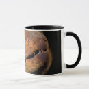 Search for eel mugs Moray