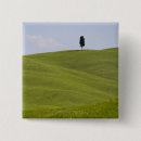 Search for lone badges Landscape