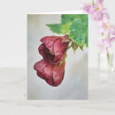 Search for belles cards Flower