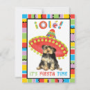 Search for yorkie puppies invitations Yorkshire terrier
