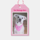 Search for ears gift wrap Beautiful