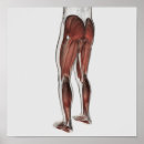 Search for spine art posters Close up