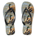 Search for duck with flipflops Bird