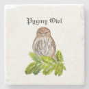 Search for saw coasters Bird