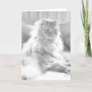 Search for cougar birthday cards Funny