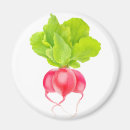 Search for radish magnets Red
