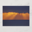 Search for black light postcards Ocean