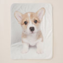 Search for welsh corgi blankets Queen's dog