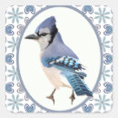 Search for jay bird stickers Wildlife