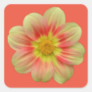 Search for dahlia flower stickers Autumn