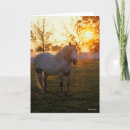 Search for percheron cards Animal