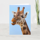 Search for funny giraffes postcards Portrait