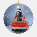 Search for weimaraner christmas tree decorations Pet