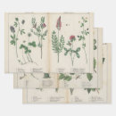 Search for botanical print wrapping paper Green