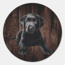Search for yellow labrador stickers Black lab
