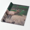 Search for moose wrapping paper Green