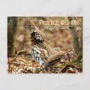 Search for fanned postcards Bird
