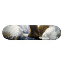 Search for bald skateboards Wildlife