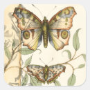 Search for with butterfly stickers Botanical