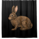 Search for bunny rabbit shower curtains Hare