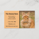 Search for bunny breed Pet