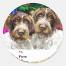 Search for hair of the dog stickers Haired