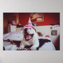 Search for getty posters Dogs