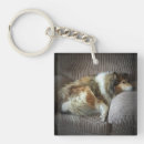 Search for rough key rings Animals