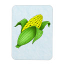 Search for corn magnets Corn on the cob