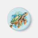 Search for cute turtle magnets Fish