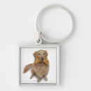 Search for bone key rings Studio shot