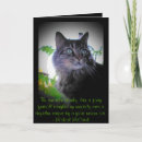 Search for cat quotes cards For him