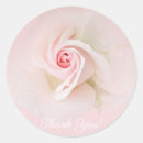 Search for soft pink rose stickers Blush