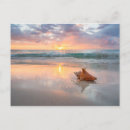 Search for beach shells postcards Waves