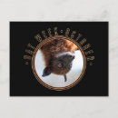 Search for flying bats postcards Adorable