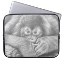 Search for orangutans electronics Wildlife