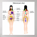 Search for pain posters Chiropractor