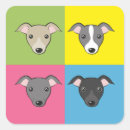 Search for greyhound greyhounds stickers Pet