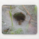 Search for bug pictures mouse mats Insect