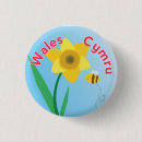 Search for daffodil badges Welsh